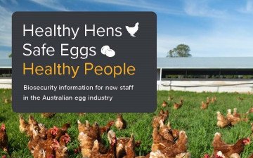 Healthy Hens  Safe Eggs  Healthy People Front Cover crop